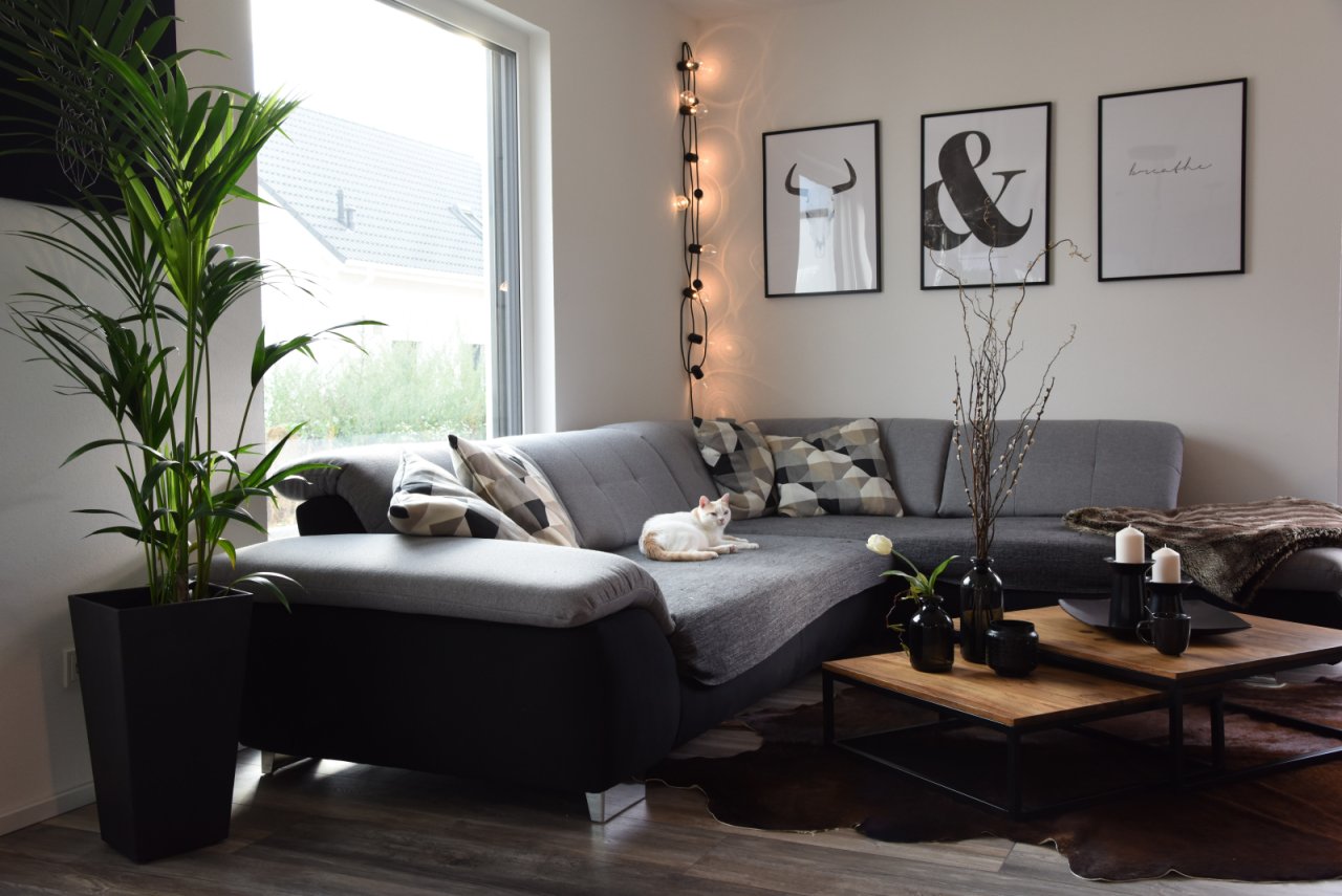 Gemütliches Wohnzimmer-Feeling Gemütliches Wohnzimmer-Feeling